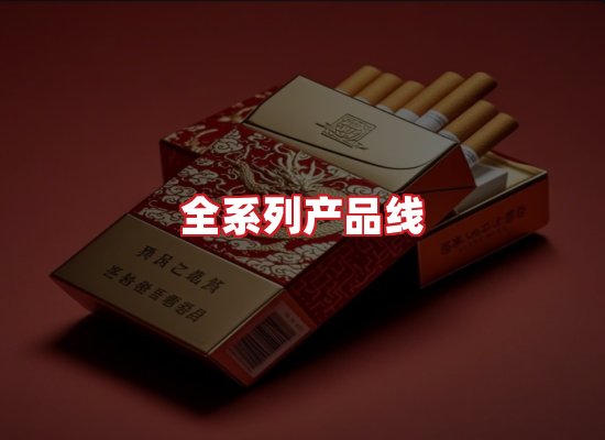 专业团队